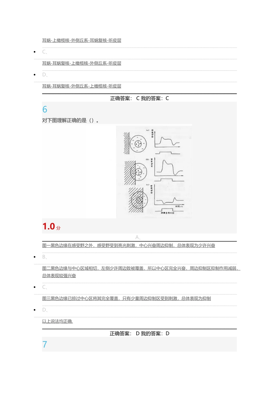 大脑的奥秘：神经科学导论_第3页