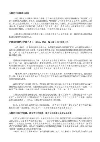 大脑的工作原理与结构