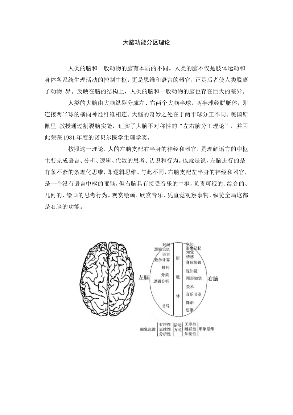 大脑功能分区理论_第1页