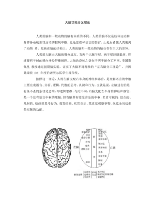 大脑功能分区理论