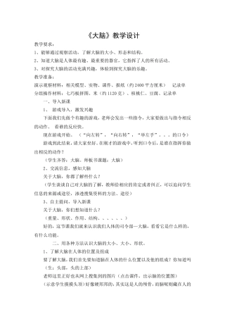 大脑教学设计