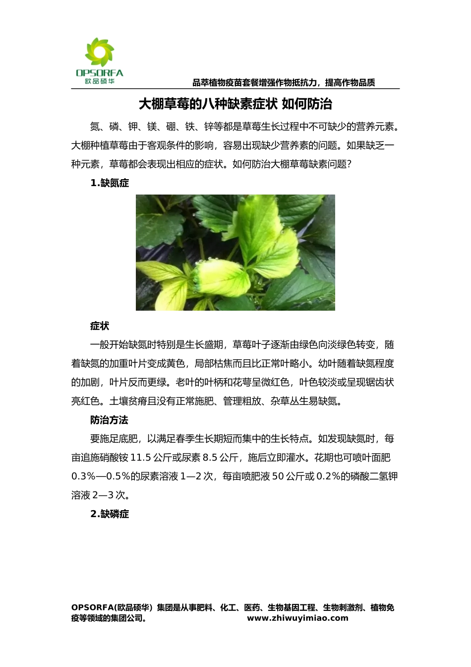 大棚草莓的八种缺素症状-如何防治_第1页