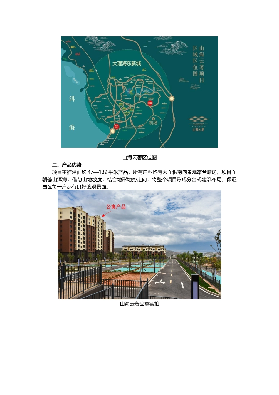 大理山海云著-均价8000元平政策来了您犹豫了-2019年攻略介绍_第2页