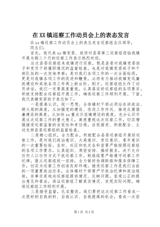 2024年在镇巡察工作动员会上的表态讲话