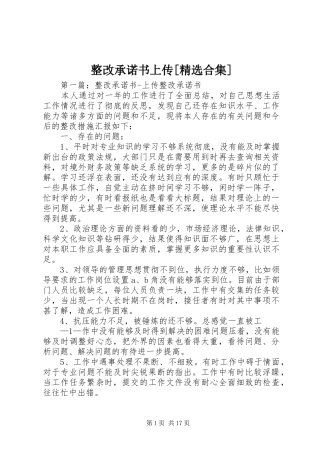 2024年整改承诺书上传合集