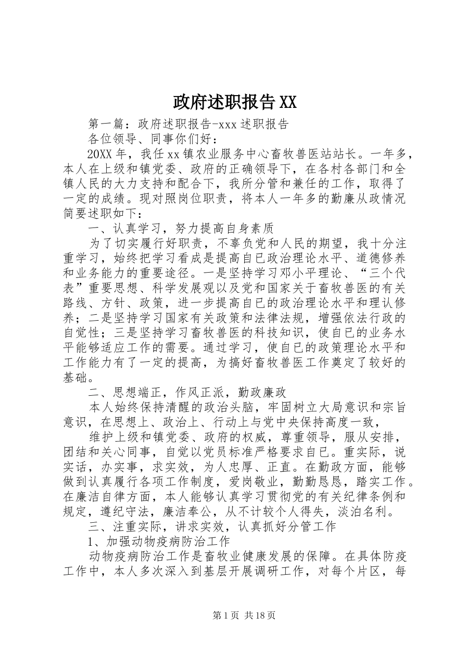 2024年政府述职报告_第1页