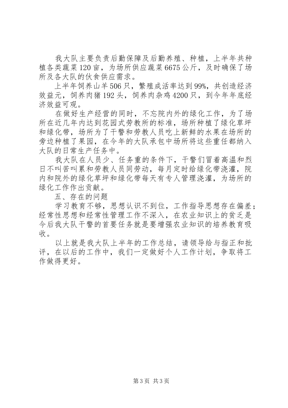2024年大队上半年工作总结_第3页
