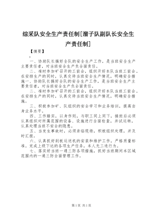 2024年综采队安全生产责任制溜子队副队长安全生产责任制