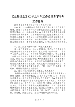 2024年总结计划上半年工作总结和下半年工作计划