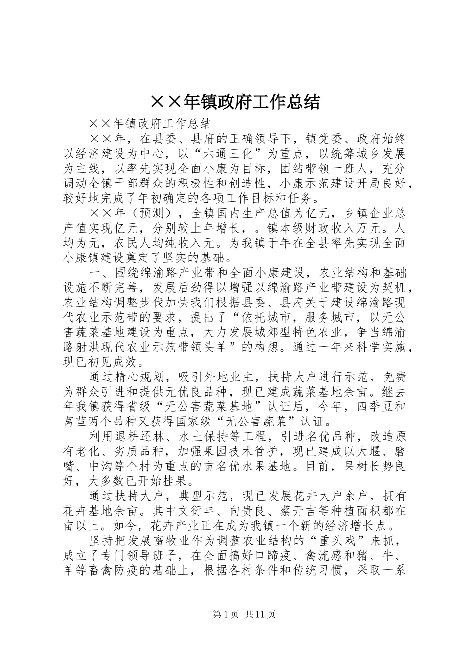 2024年最新镇政府工作总结_第1页