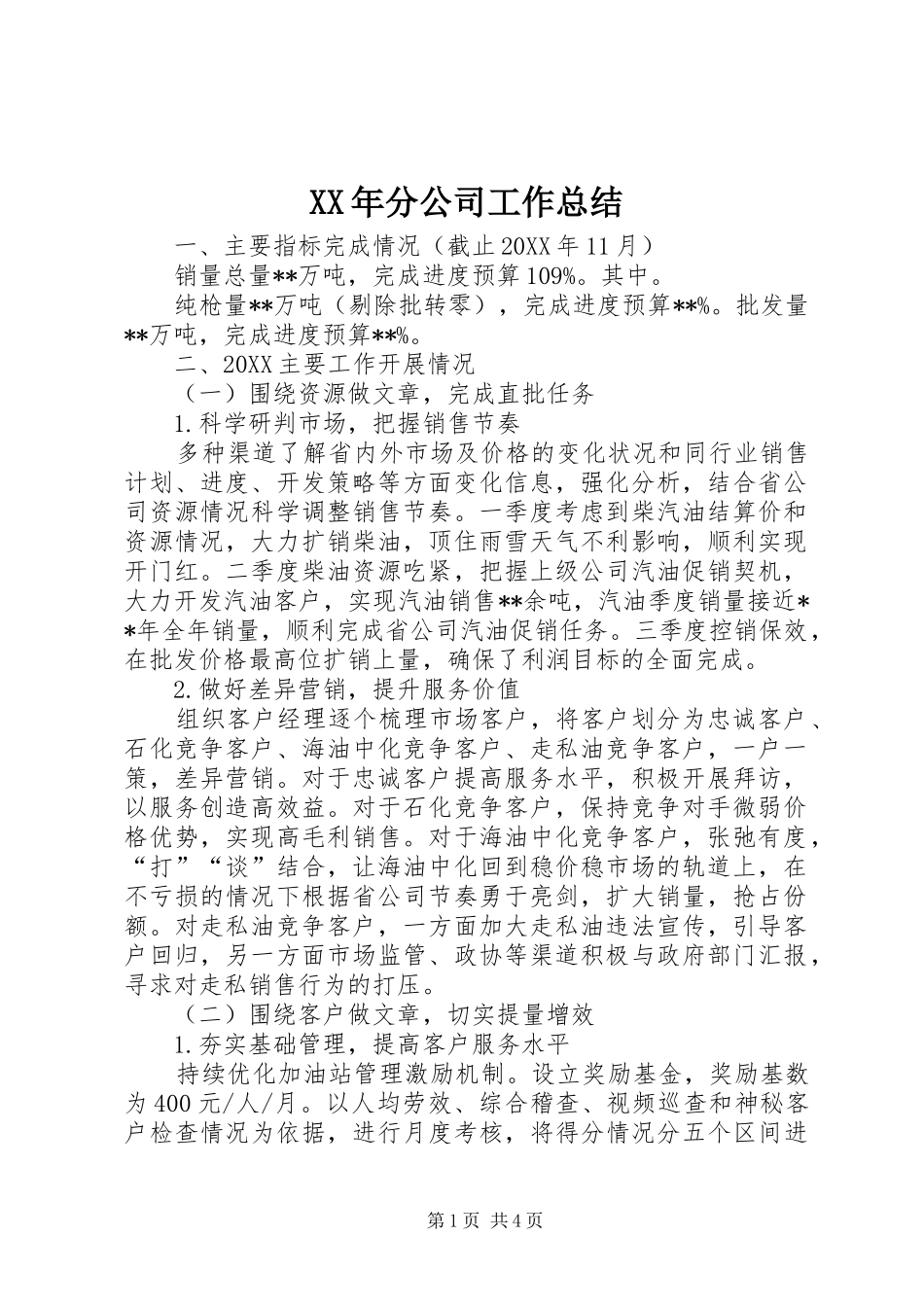 2024年分公司工作总结_第1页