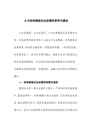 大力扶持微型企业发展思考与建议
