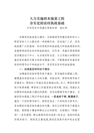 大力实施固本强基工程-夯实党的农村执政基础
