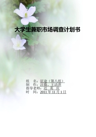 大学生兼职市场调查计划书