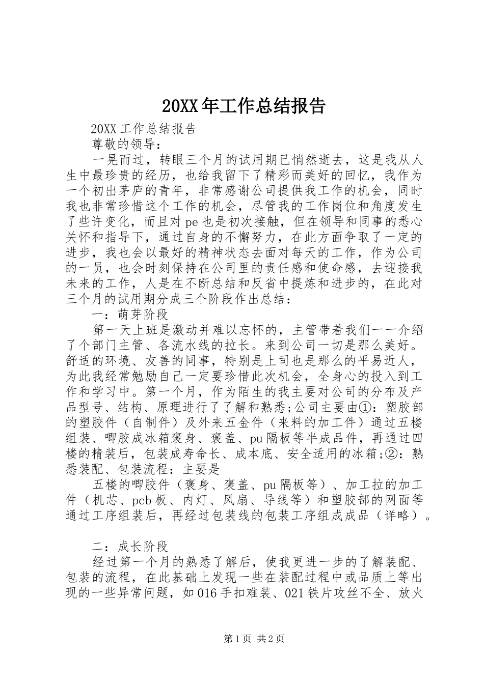 2024年工作总结报告_第1页