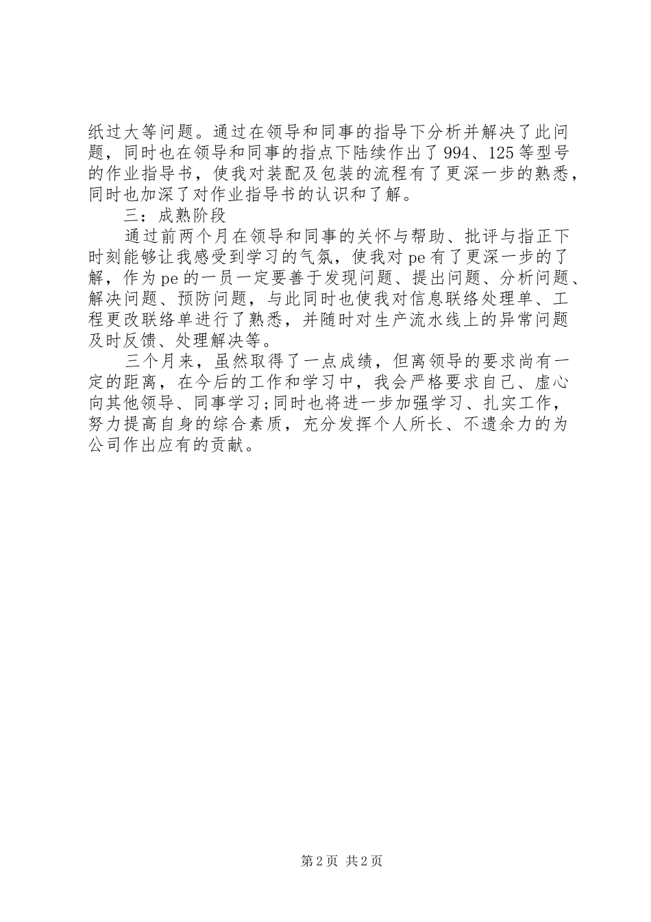 2024年工作总结报告_第2页