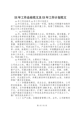 2024年工作总结范文及工作计划范文