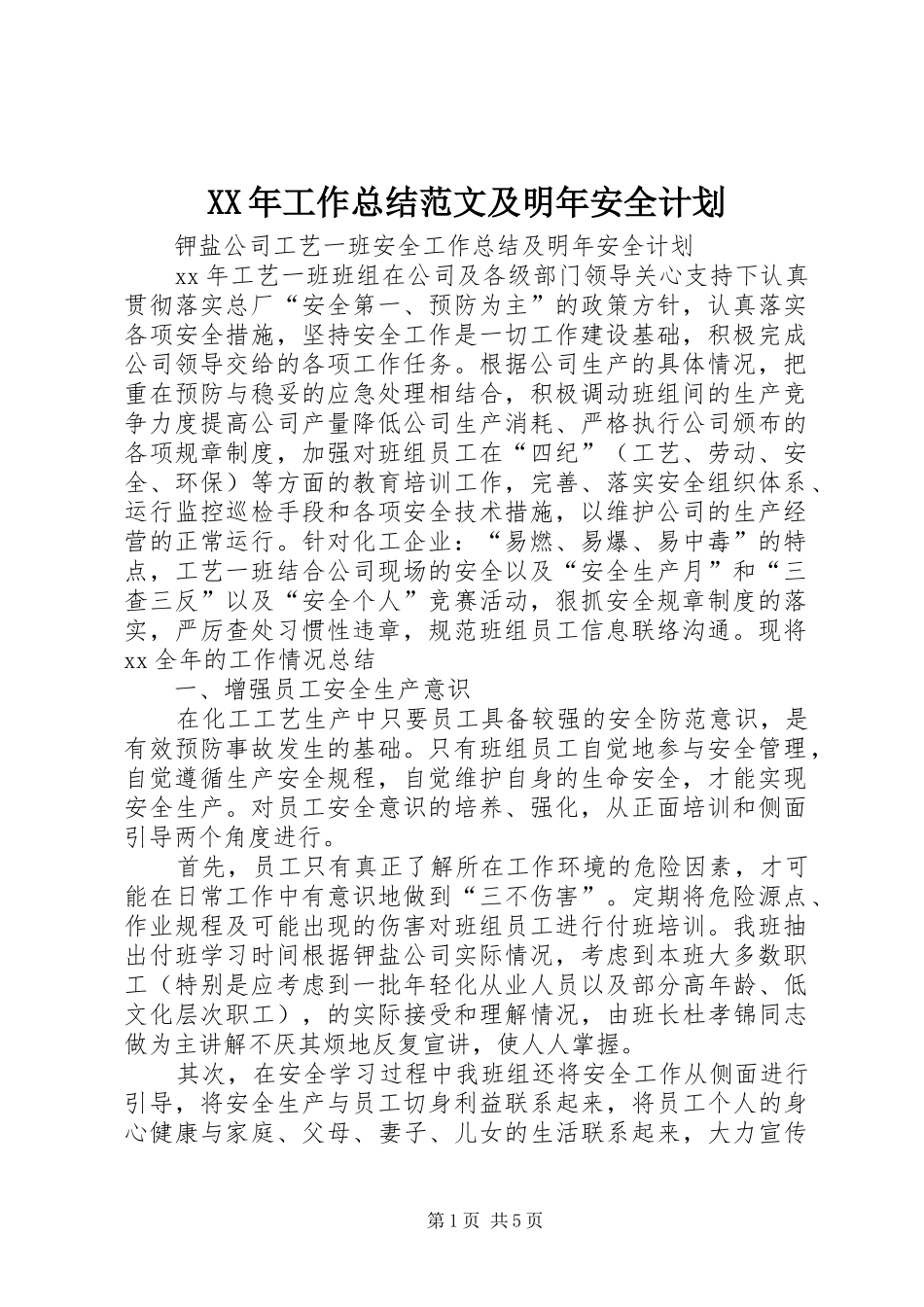 2024年工作总结范文及明年安全计划_第1页