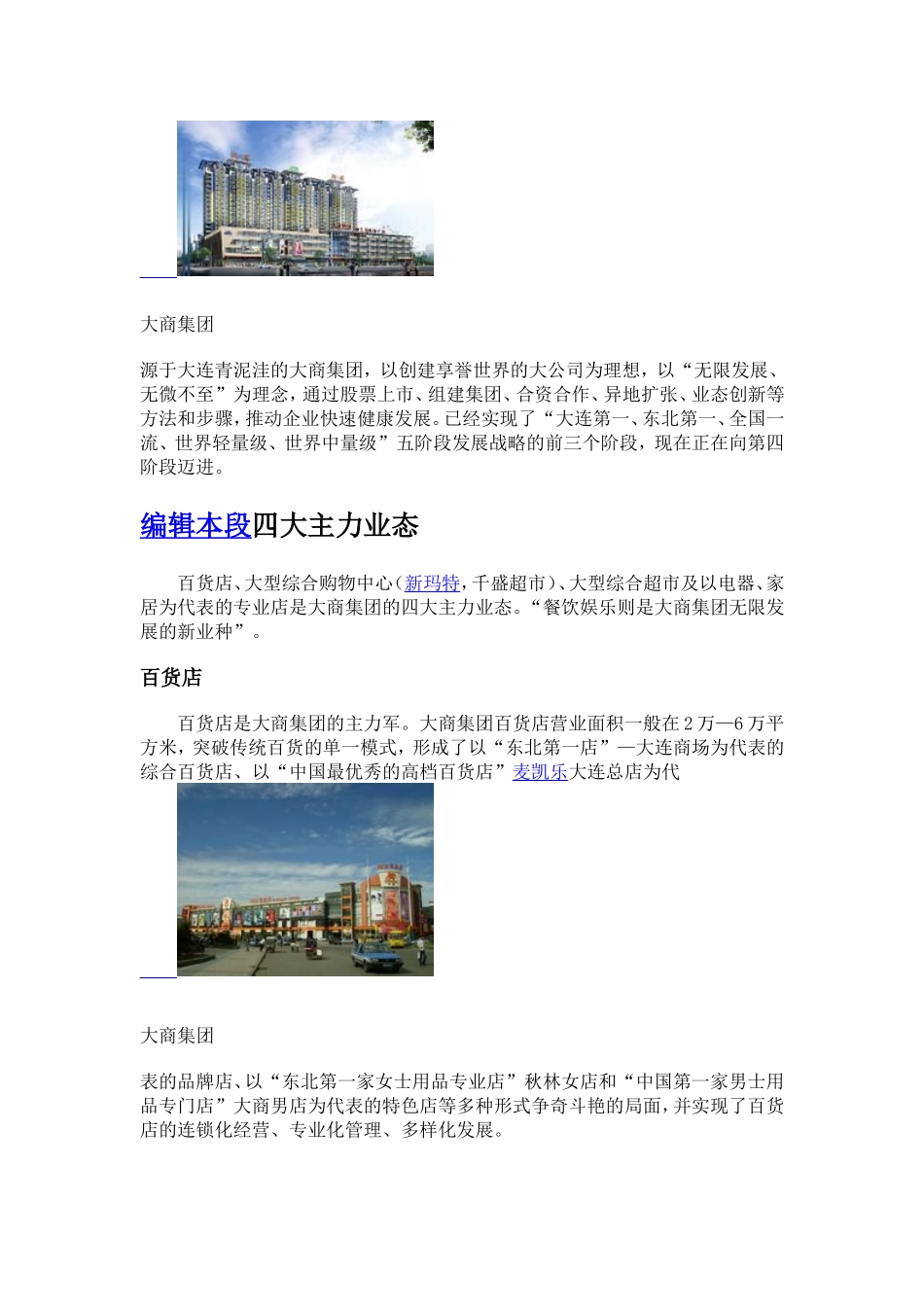 大商集团简介_第3页