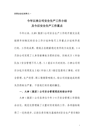大神(集团)公司安委会会议汇报材料