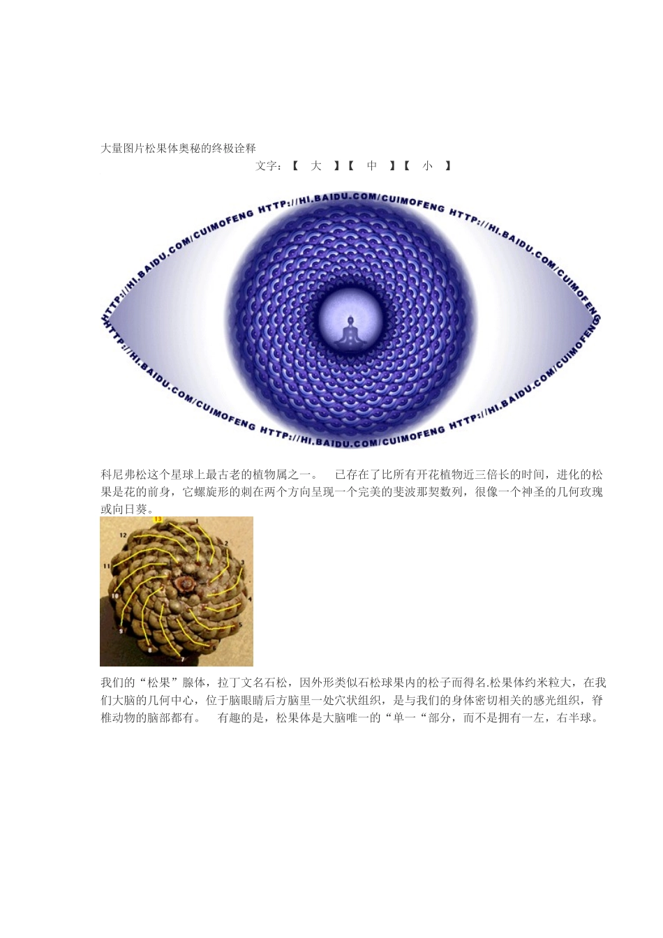 大量图片松果体奥秘的终极诠释_第1页