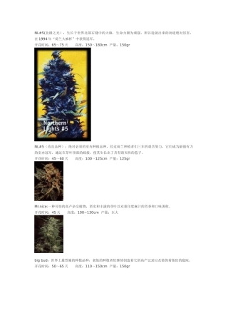 大麻种类-各种VIP!-美丽的大麻叶!!-绝美!!!!!!