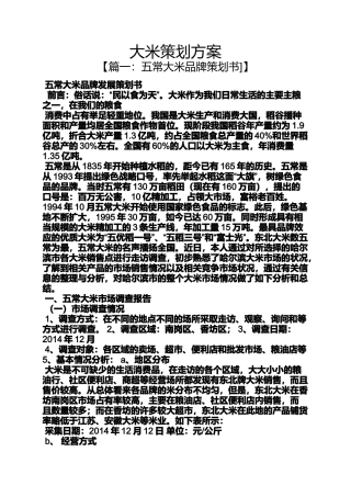 大米策划方案