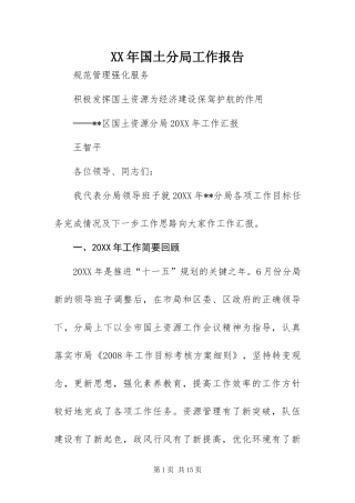 2024年国土分局工作报告