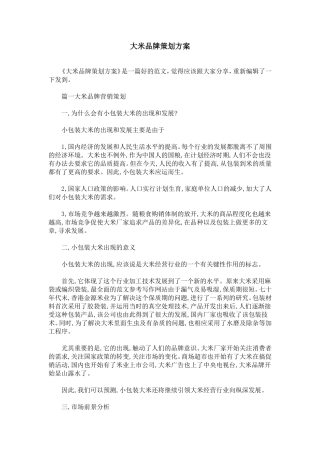 大米品牌策划方案