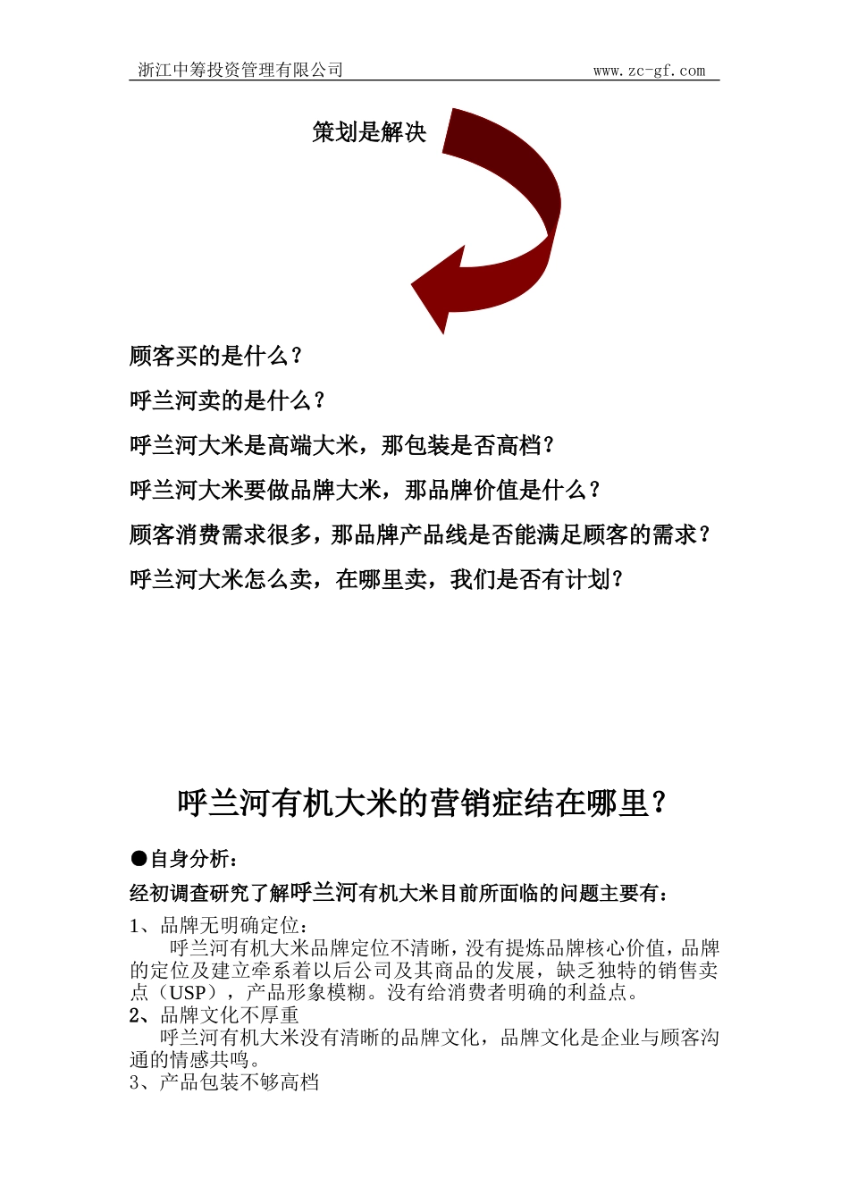 大米品牌推广方案(DOC)_第2页