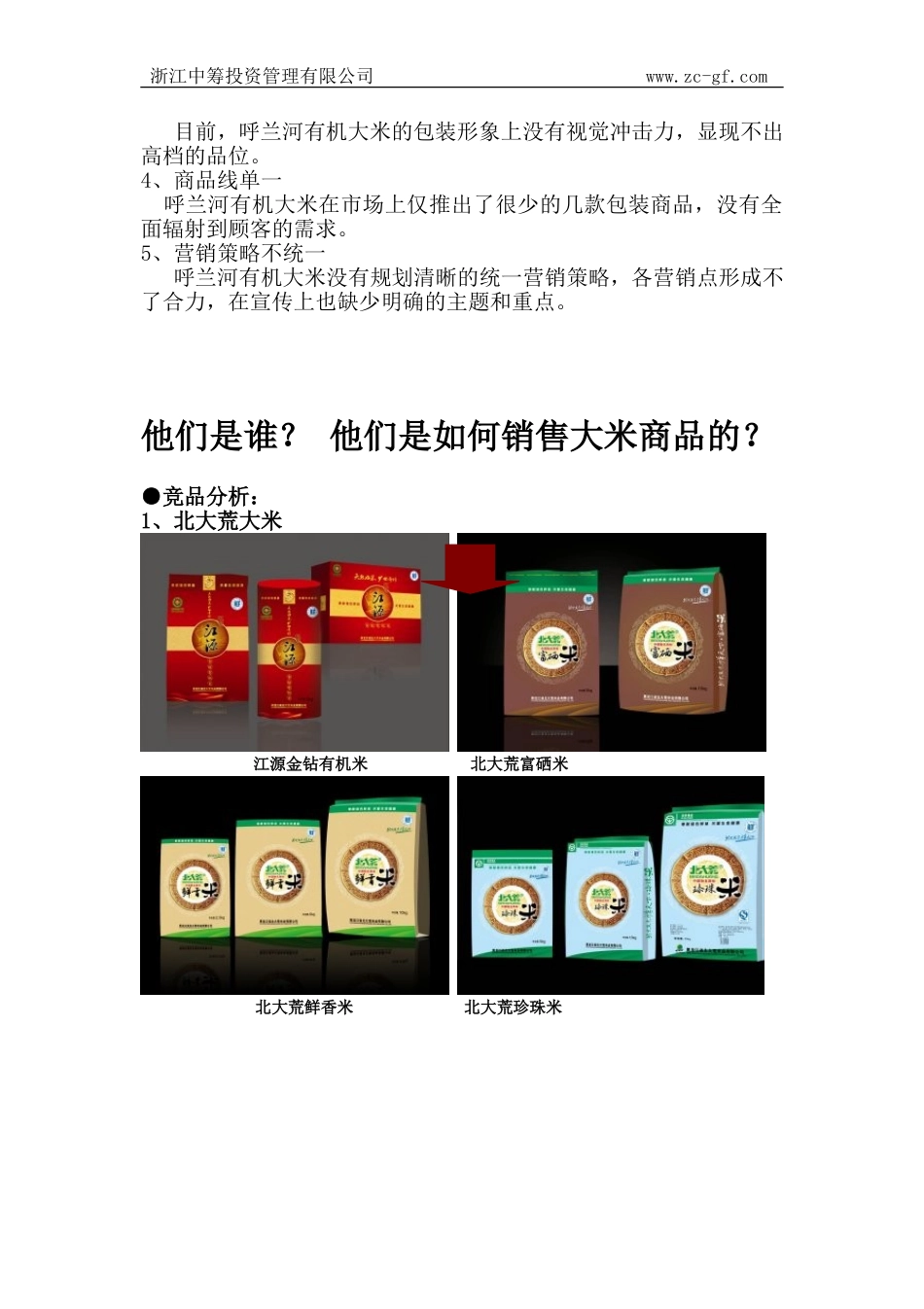 大米品牌推广方案(DOC)_第3页