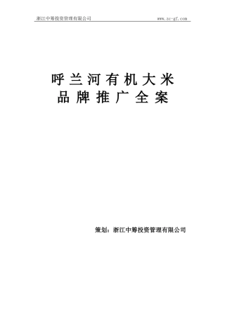 大米品牌推广方案(DOC)