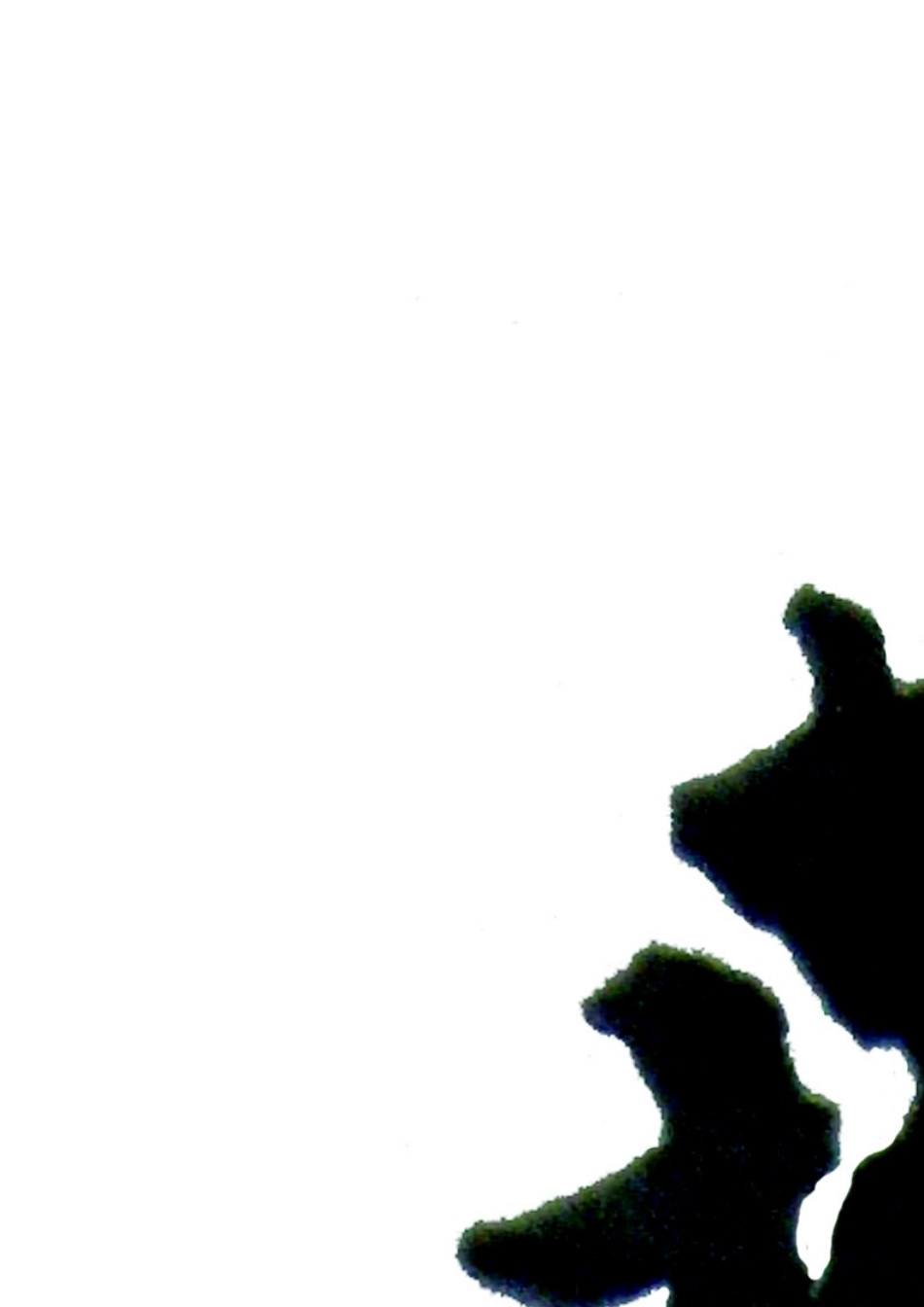 大学生课外科研立项申请书_第2页