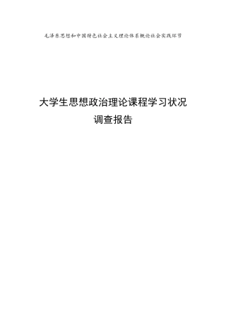 大学生思想政治理论课程学习状况