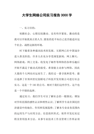 大学生网络公司实习报告3000字