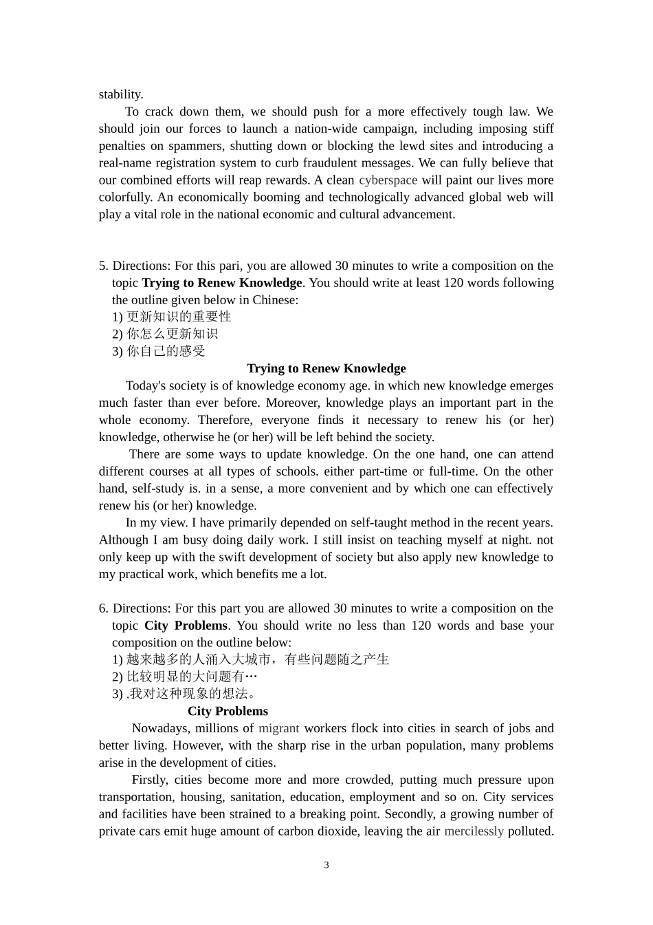 大学英语(作文)_第3页