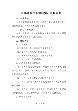 2024年寒假市场调研实习企划方案