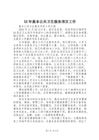 2024年基本公共卫生服务项目工作