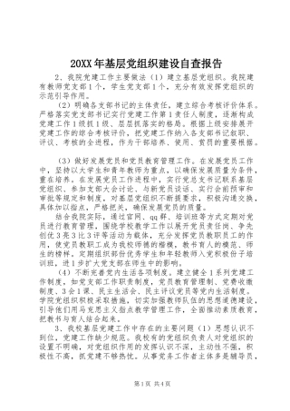 2024年基层党组织建设自查报告