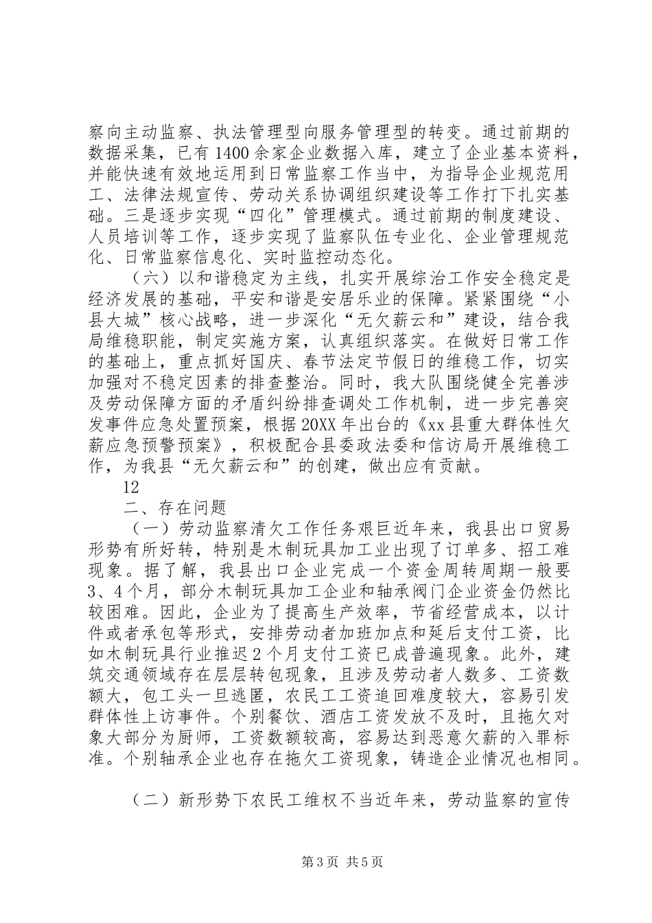 2024年劳动监察大队行政执法工作总结_第3页