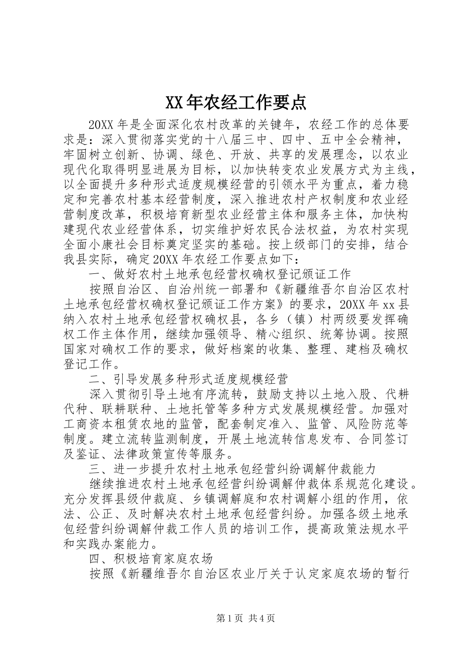 2024年农经工作要点_第1页