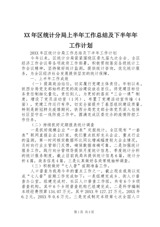 2024年区统计分局上半年工作总结及下半年年工作计划