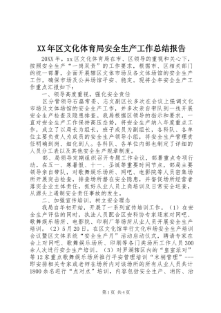 2024年区文化体育局安全生产工作总结报告