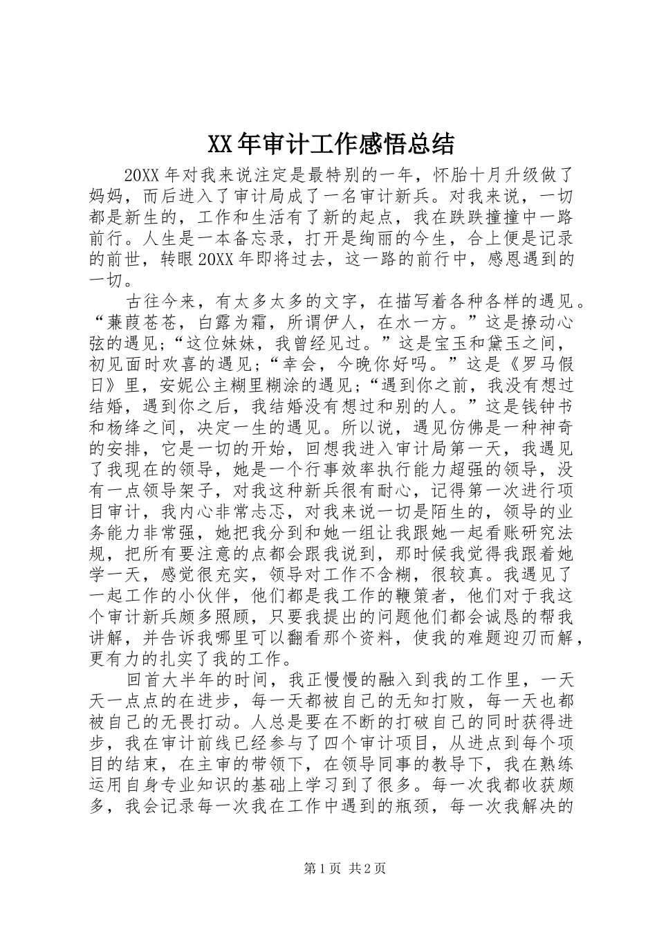 2024年审计工作感悟总结_第1页