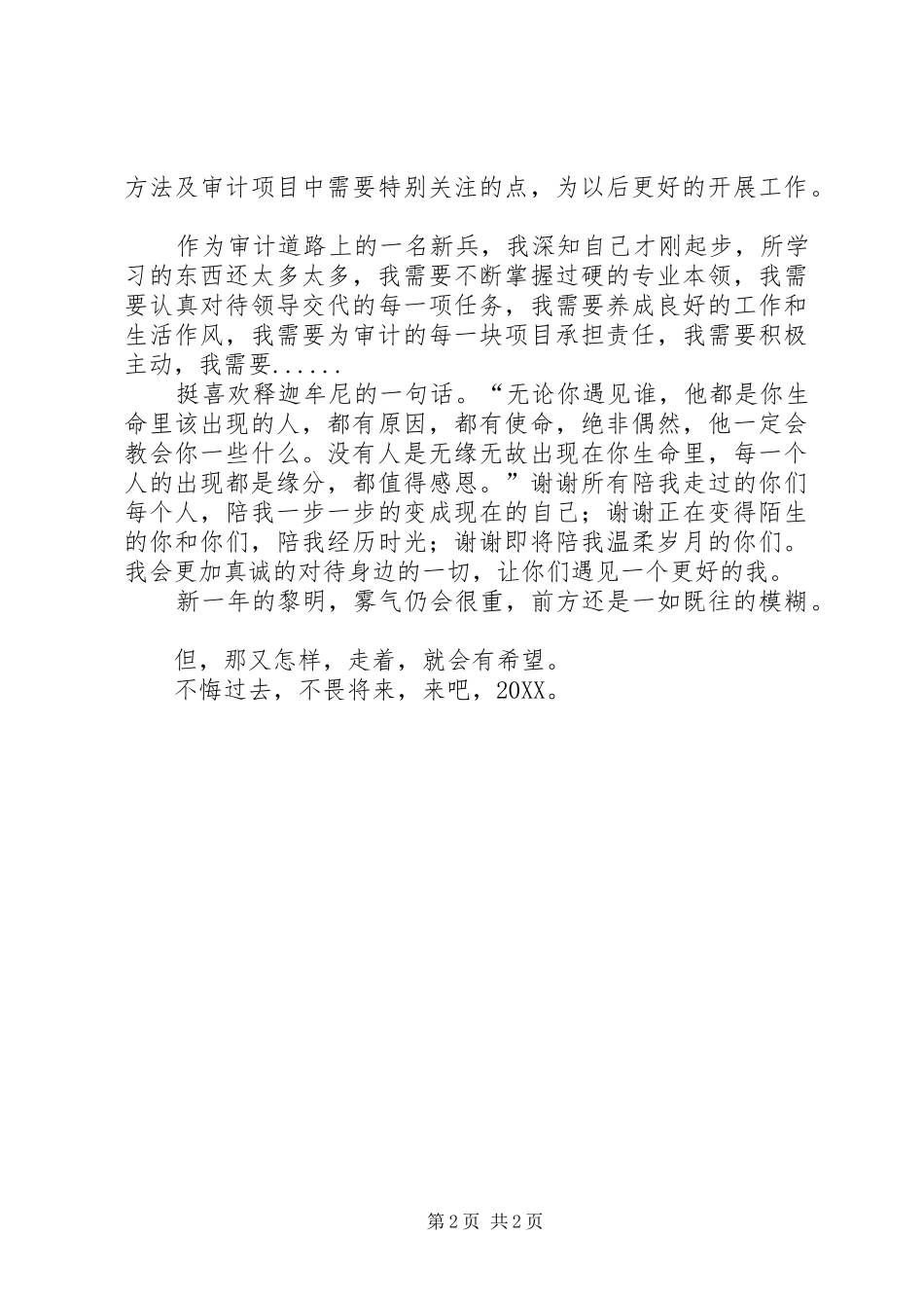 2024年审计工作感悟总结_第2页