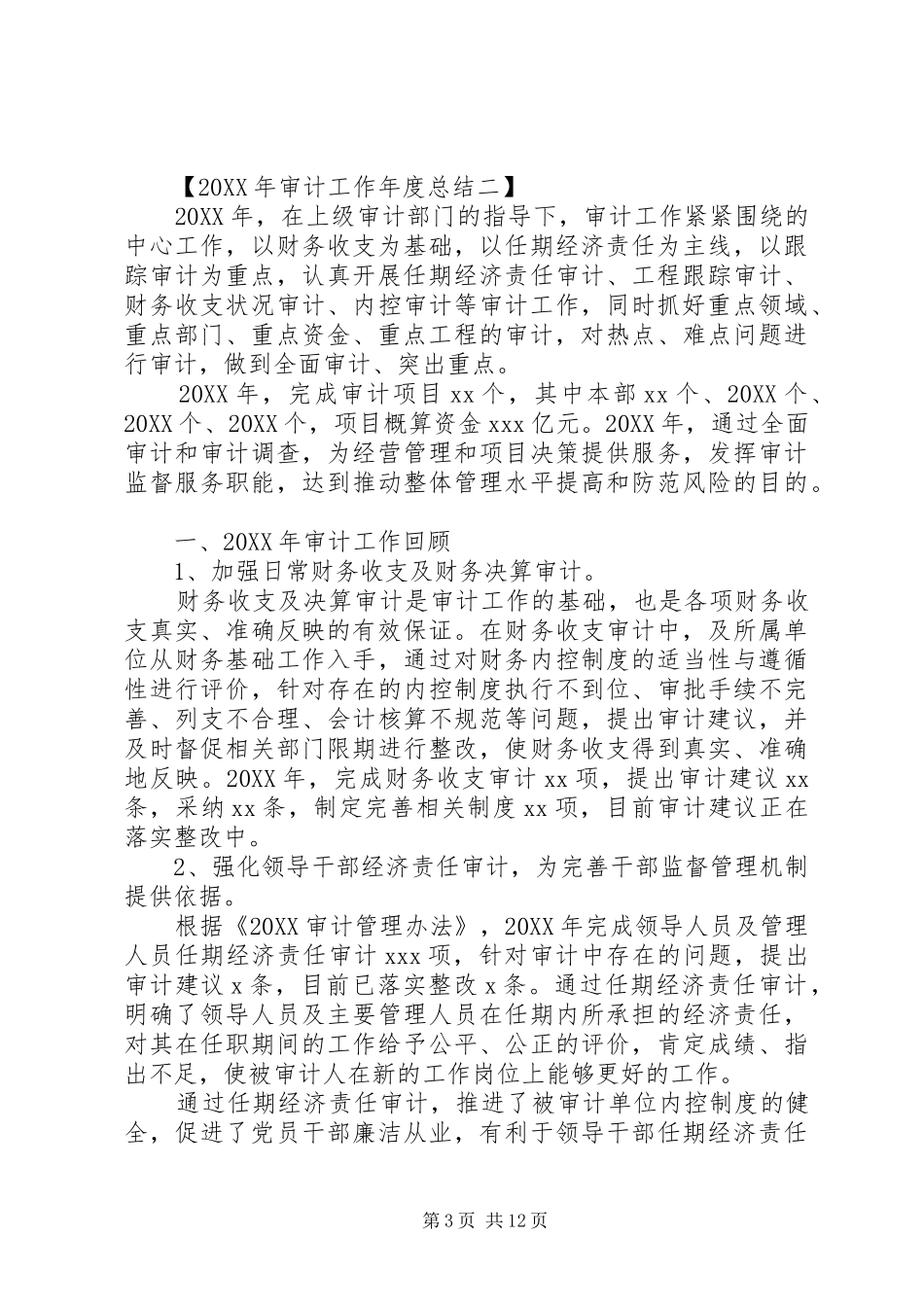 2024年审计工作年度总结_第3页