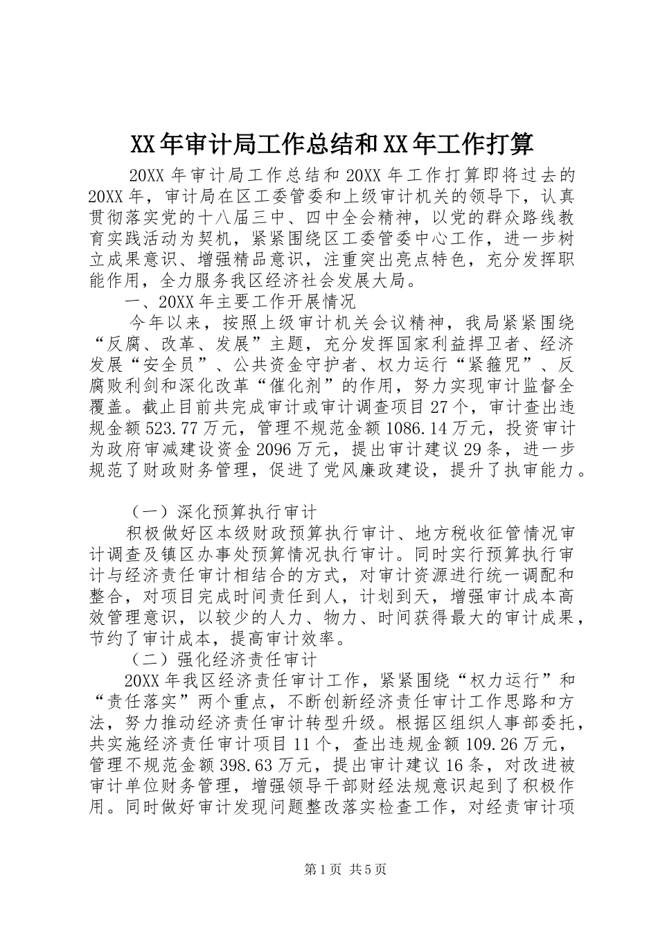 2024年审计局工作总结和工作打算_第1页