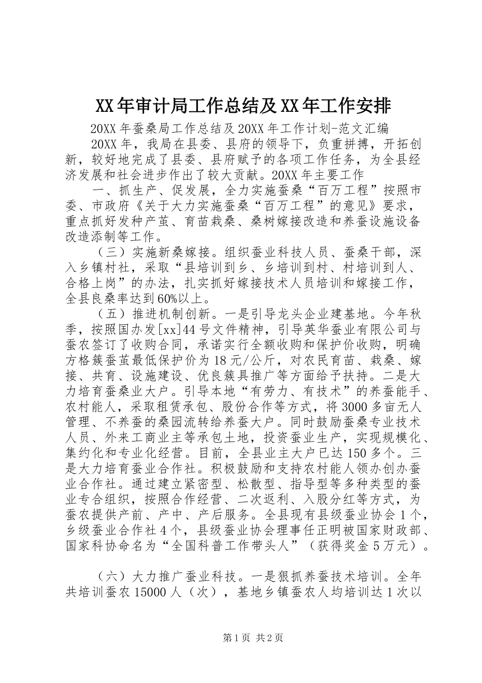 2024年审计局工作总结及工作安排_第1页