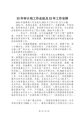 2024年审计局工作总结及工作安排