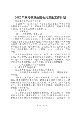 2024年双河镇卫生院公共卫生工作计划